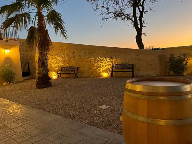 Cour en pierre et palmiers, éclairée au coucher du soleil, idéale pour vin d’honneur de mariage dans l’Hérault.