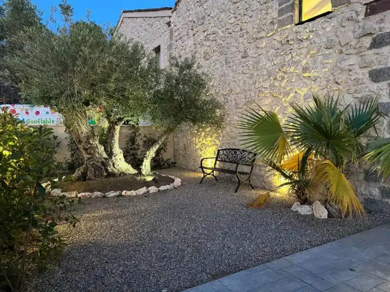 Jardin avec olivier, banc et éclairage doux, espace détente du domaine à Béziers.